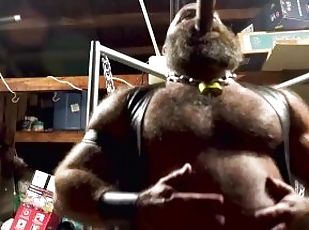 MUSCLE BULL SHOWS OFF AND SMOKES A CIGAR
